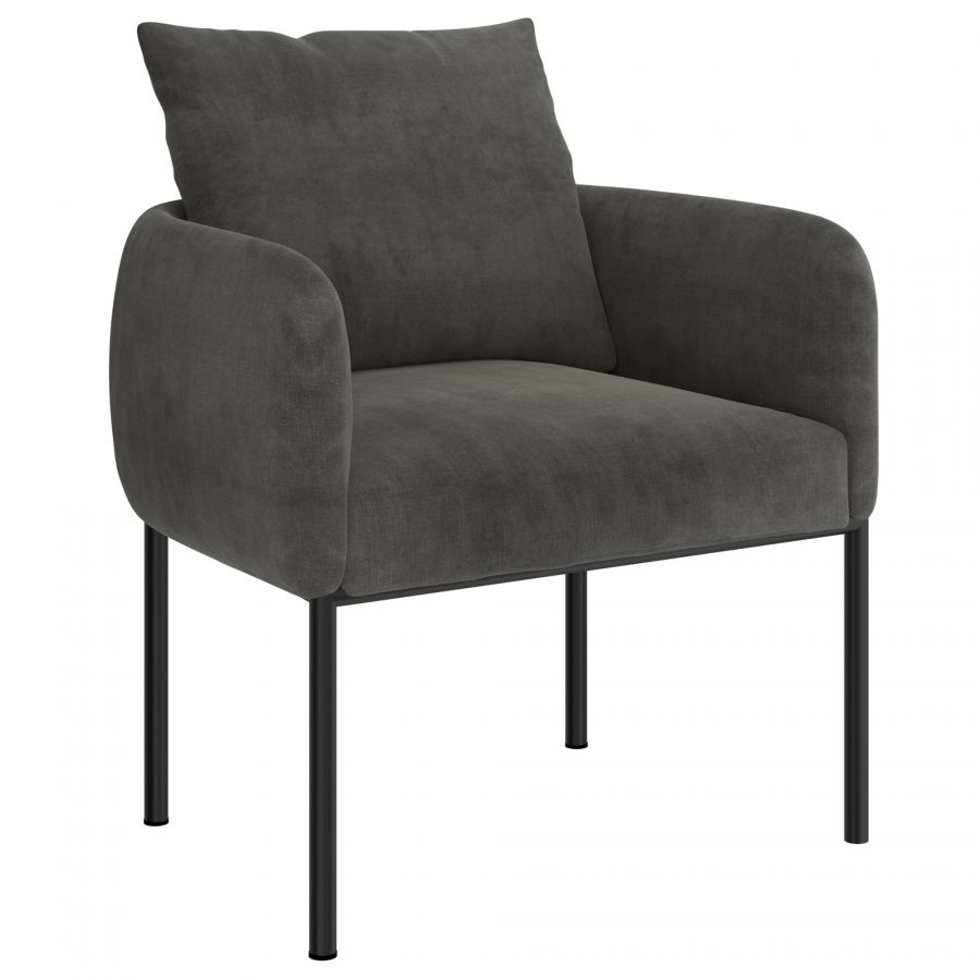 Petrie Accent Chair in Charcoal and Black