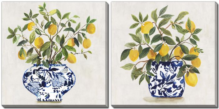 LEMON PLANT SET OF 2